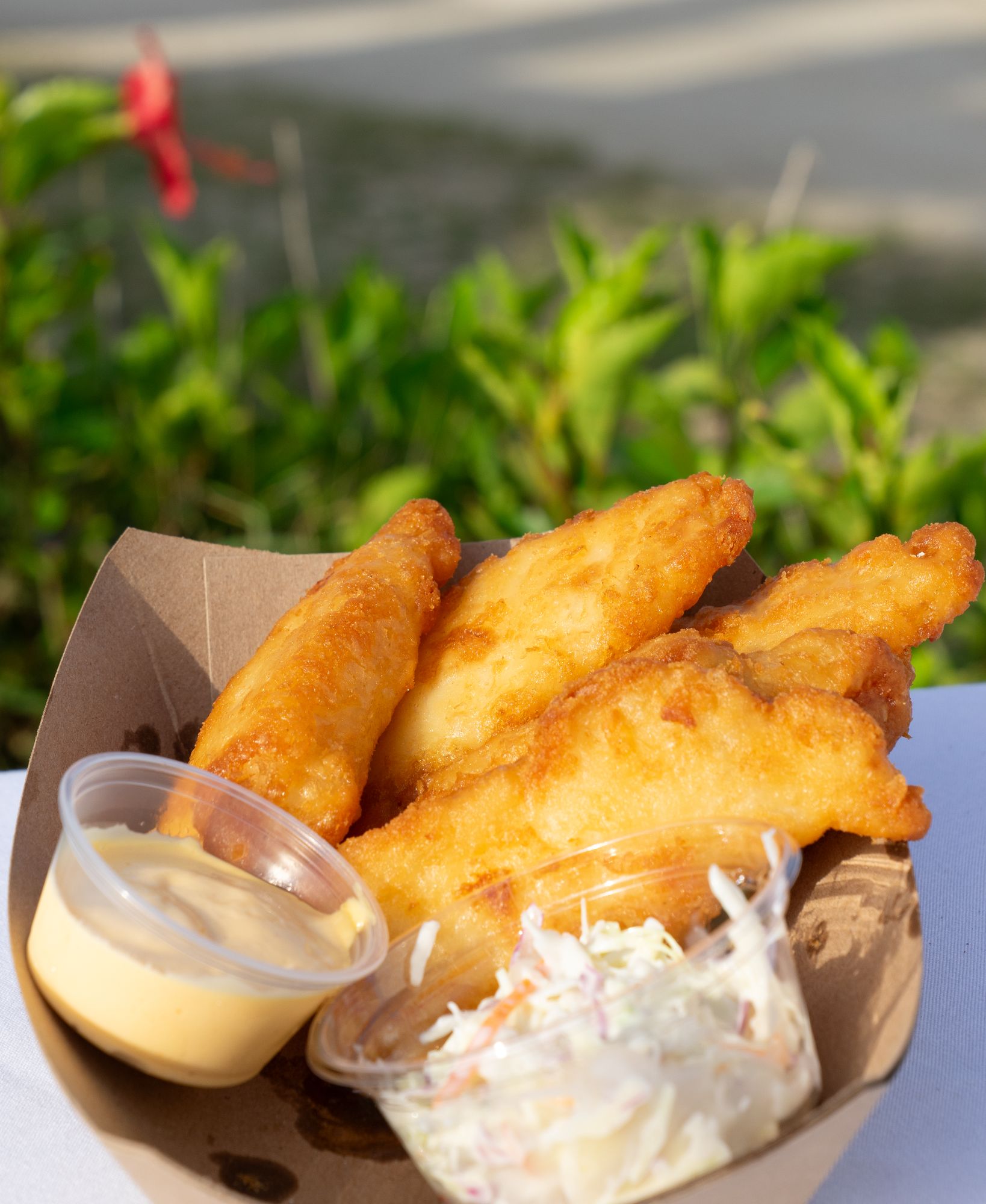 Fried fish basket