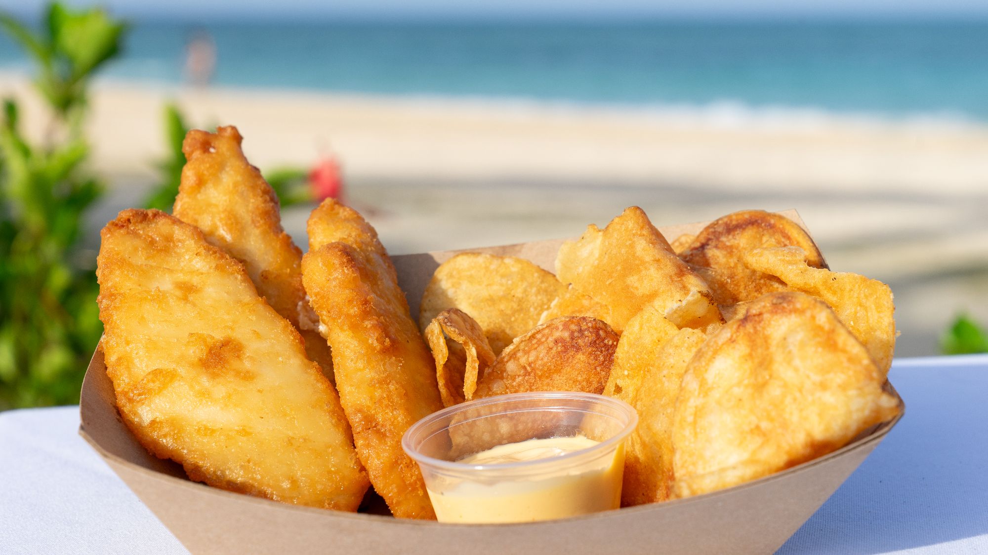 fish bites